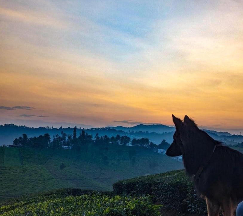 Photo of Others in Coonoor