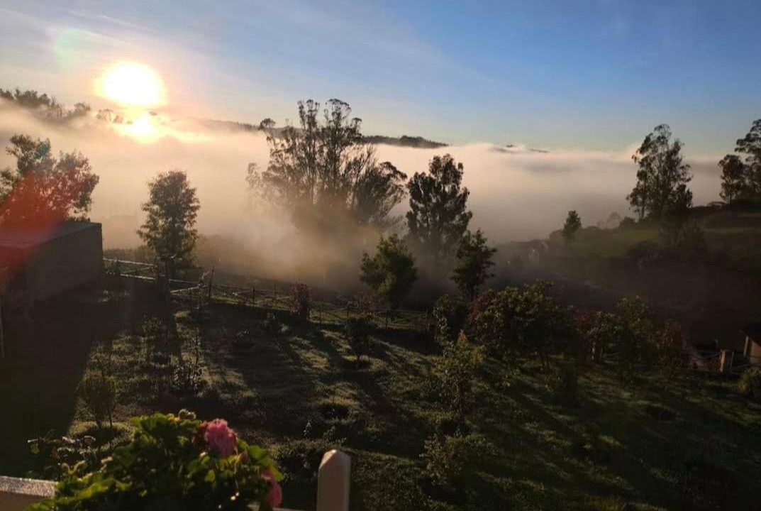 Photo of Others in Ooty
