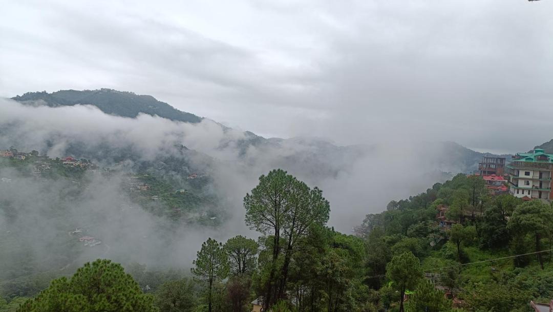 Photo of Others in Dharampur