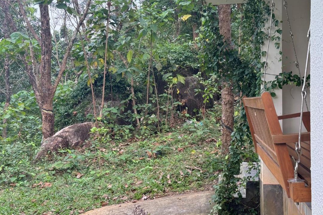Photo of Others in Irinjalakuda