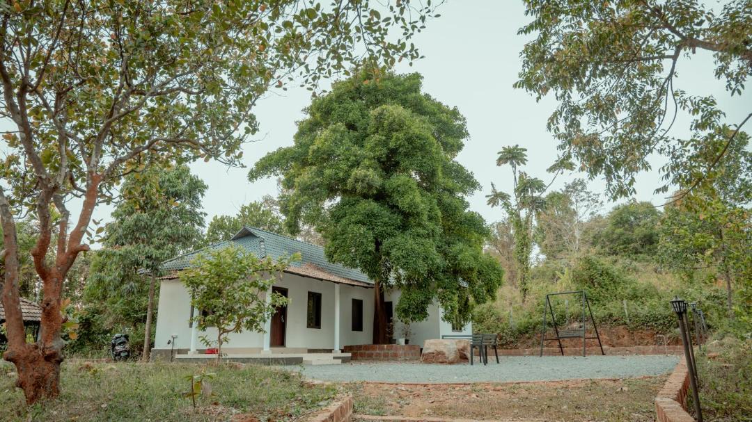 Photo of Others in Talipparamba