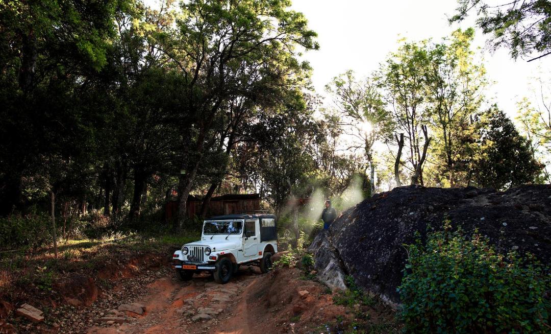 Photo of Others in Munnar