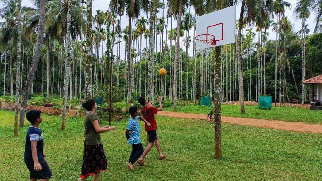 Photo of Others in Ottapalam