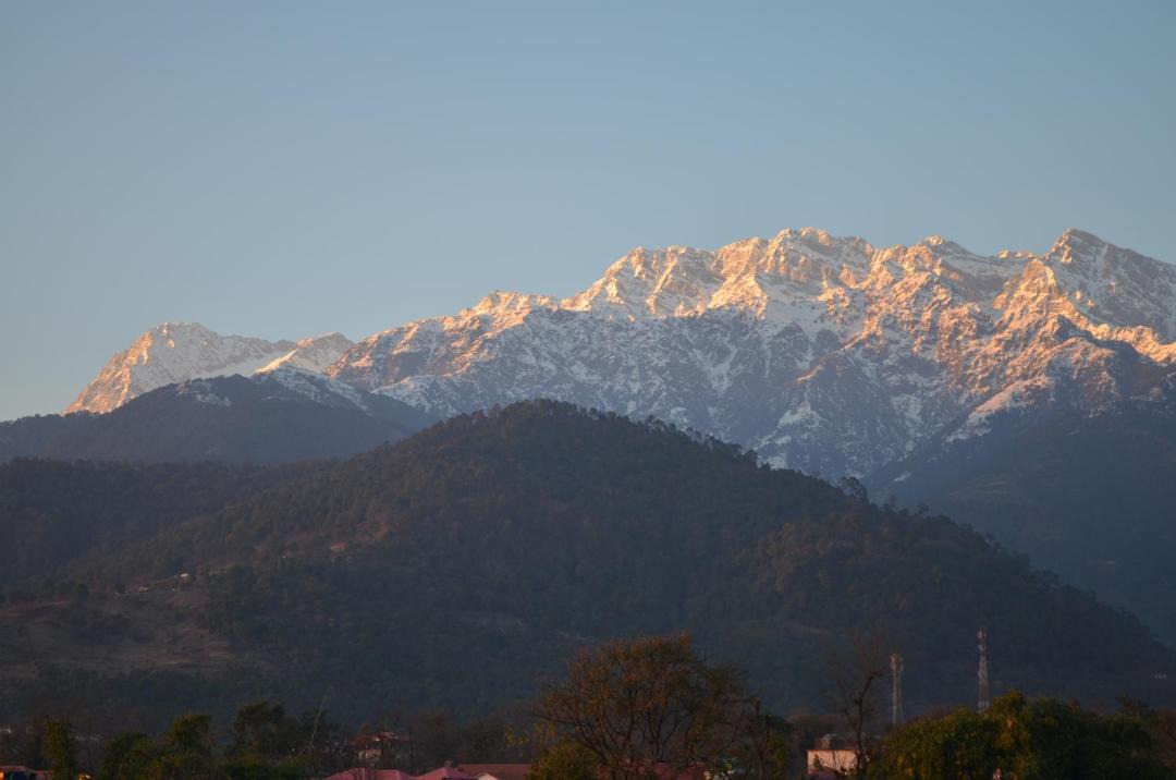 Photo of Others in Palampur