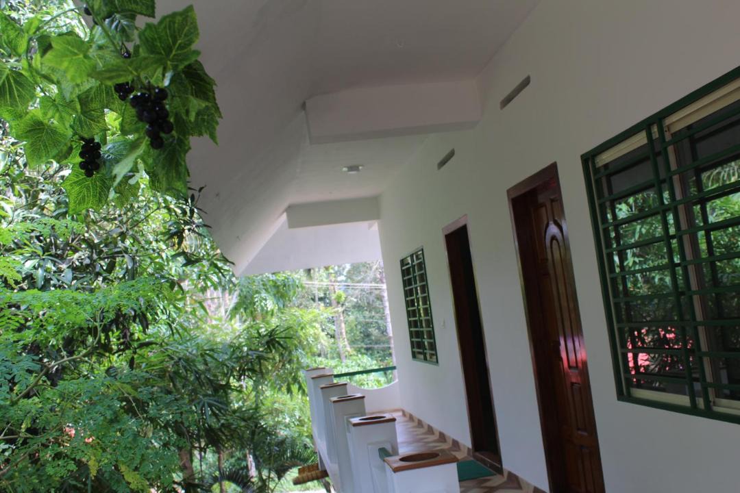 Photo of Others in Ramakkalmedu