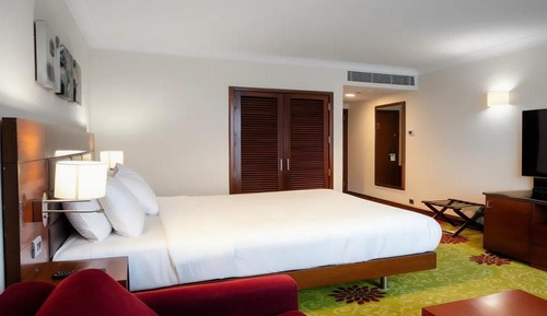 Room, 1 King Bed