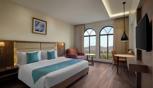 Room, 1 King Bed, City View