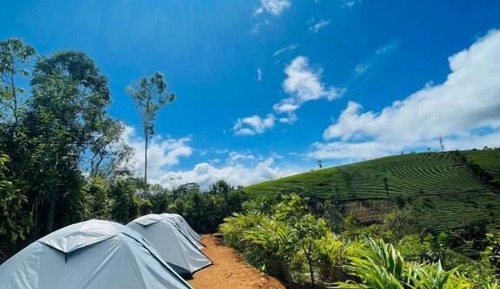 Double or Twin Room, Mountain View