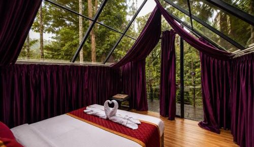 Tiny Air Conditioned Glass Cabin with Sky View