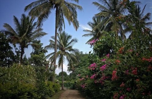 Masinagudi House | Green Acres Farm Guest House