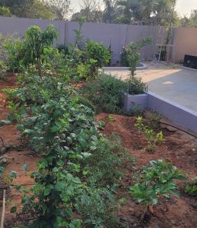 Kakinada House | Relax holiday stay