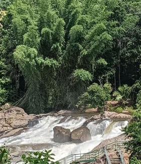 Rajakkad House | Mount Mist Villa