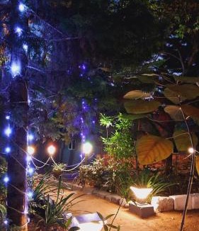 Masinagudi Hotel | Green Hills Farm And Guest House