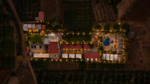 Lion Park Hotel & Resorts